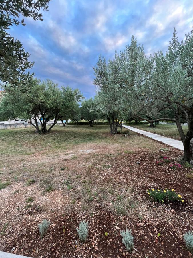 Apartman Oliva Zadar Eksteriør bilde