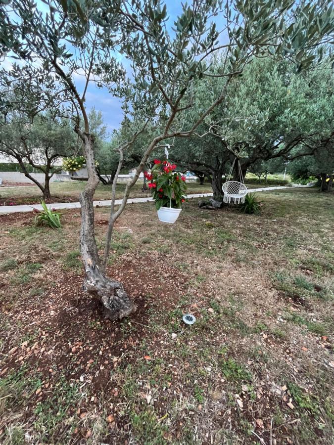 Apartman Oliva Zadar Eksteriør bilde